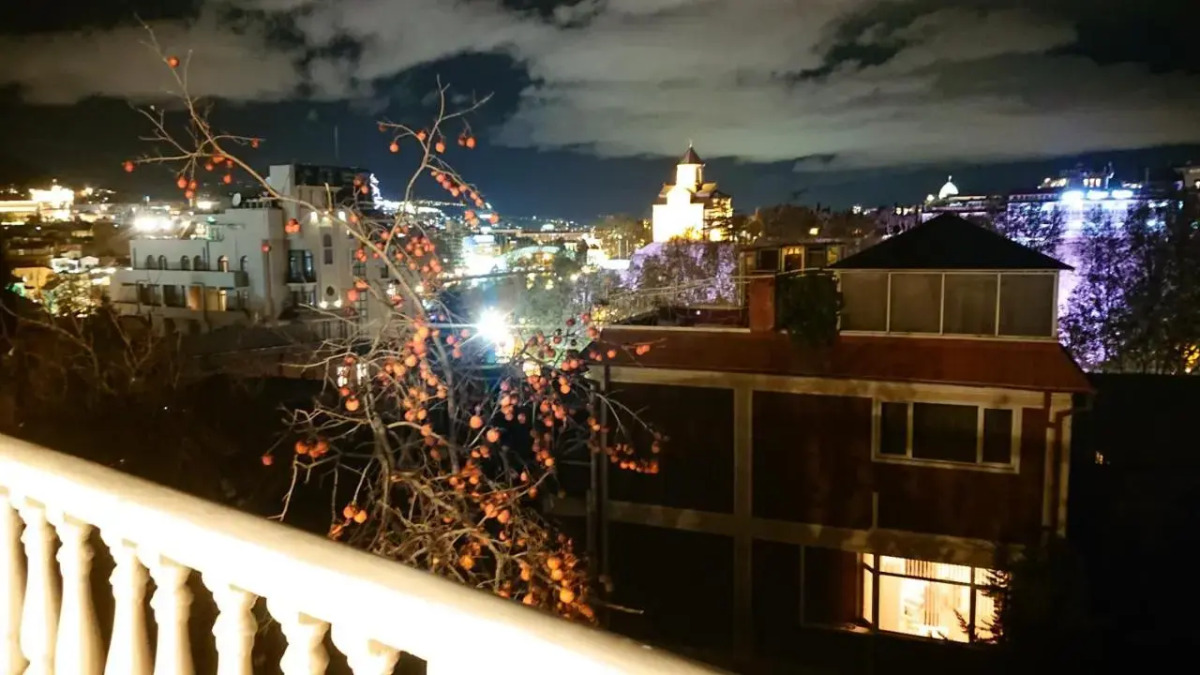 Отель Gvino Minda