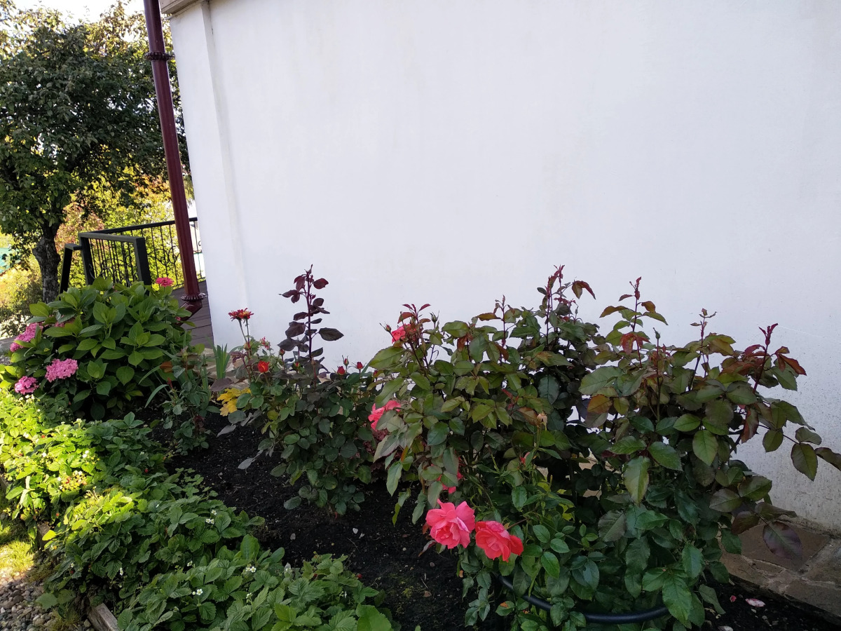 Частный дом Воскресенская дача