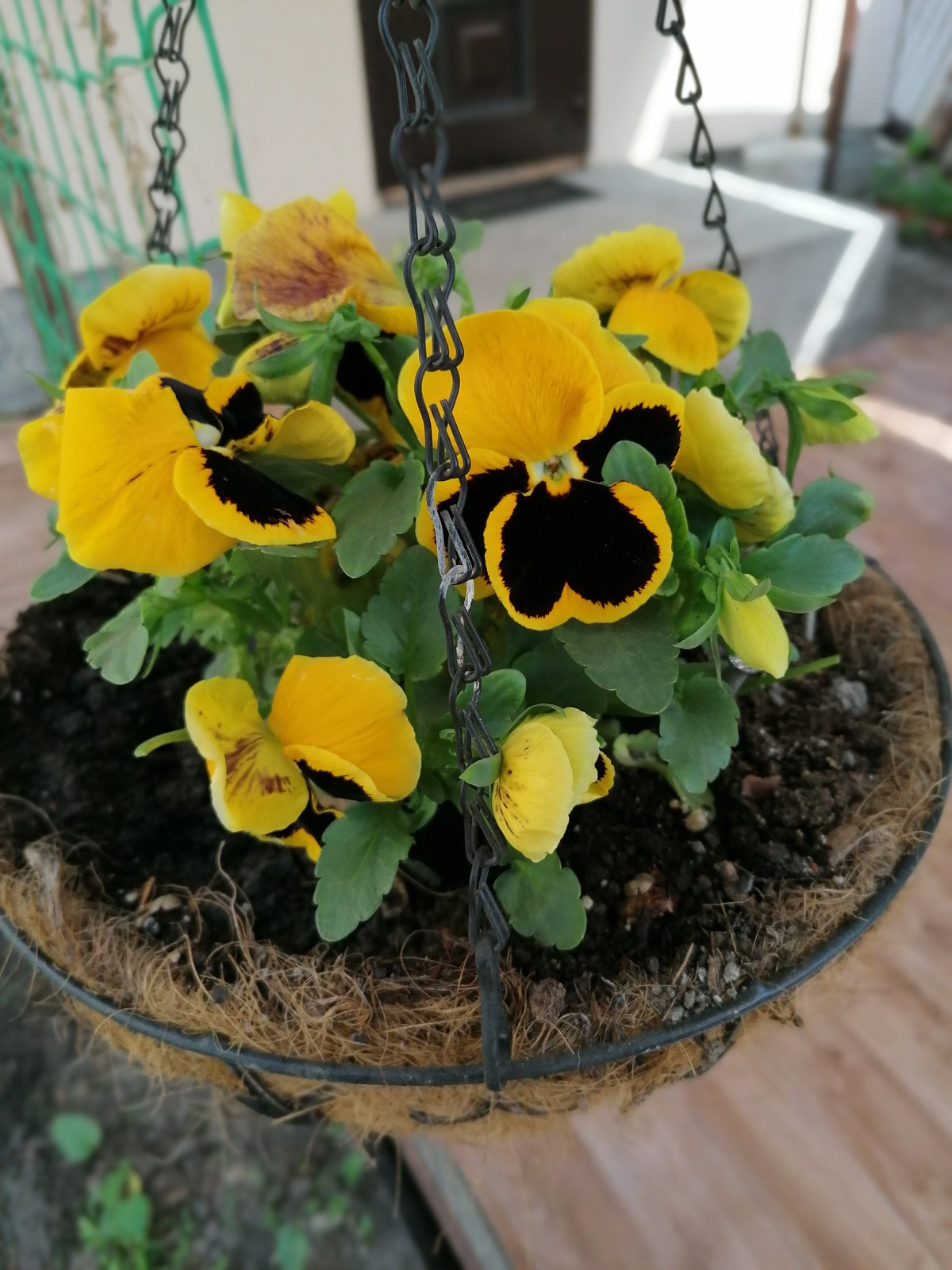 Гостевой дом У Юли