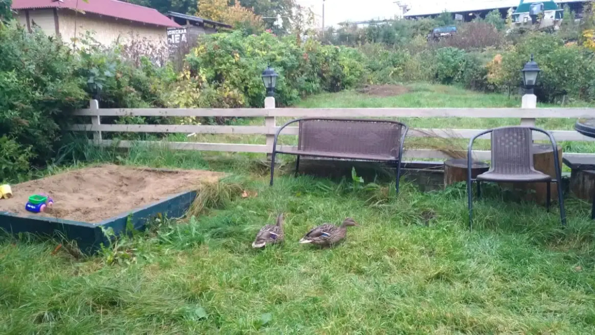 Апартаменты Таунхаус с сауной в центре у набережной