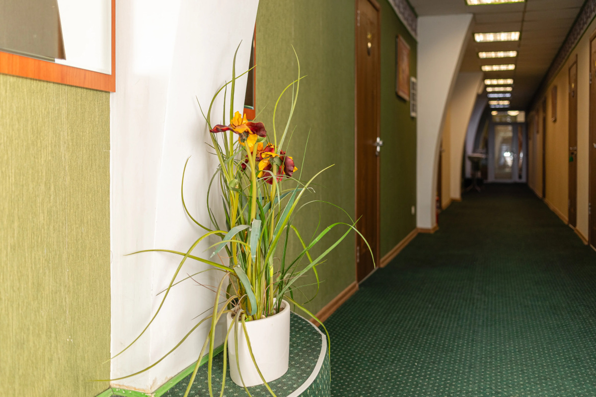 Отель Дом Ученых Химки