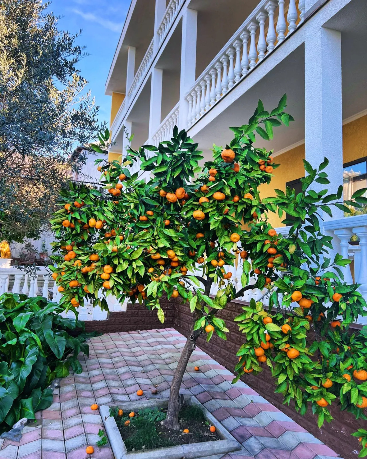 Мини-отель Мэри