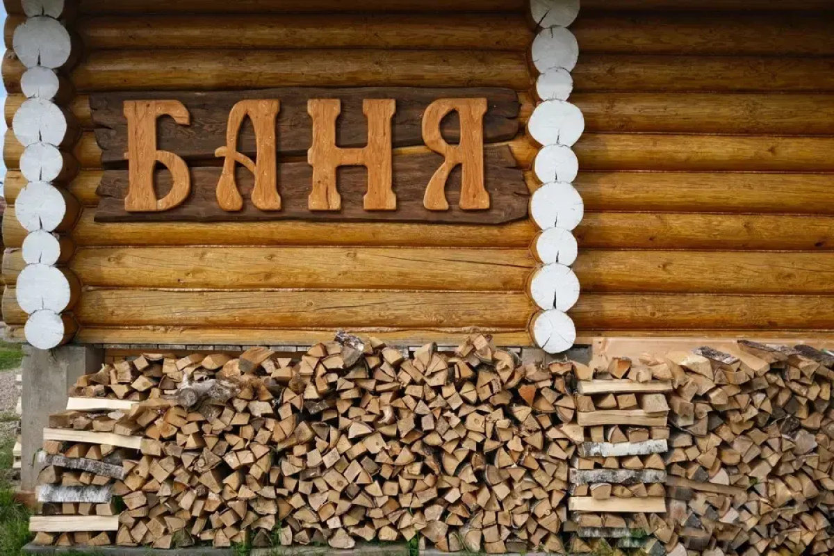 Гостевой дом Дикий Гусь