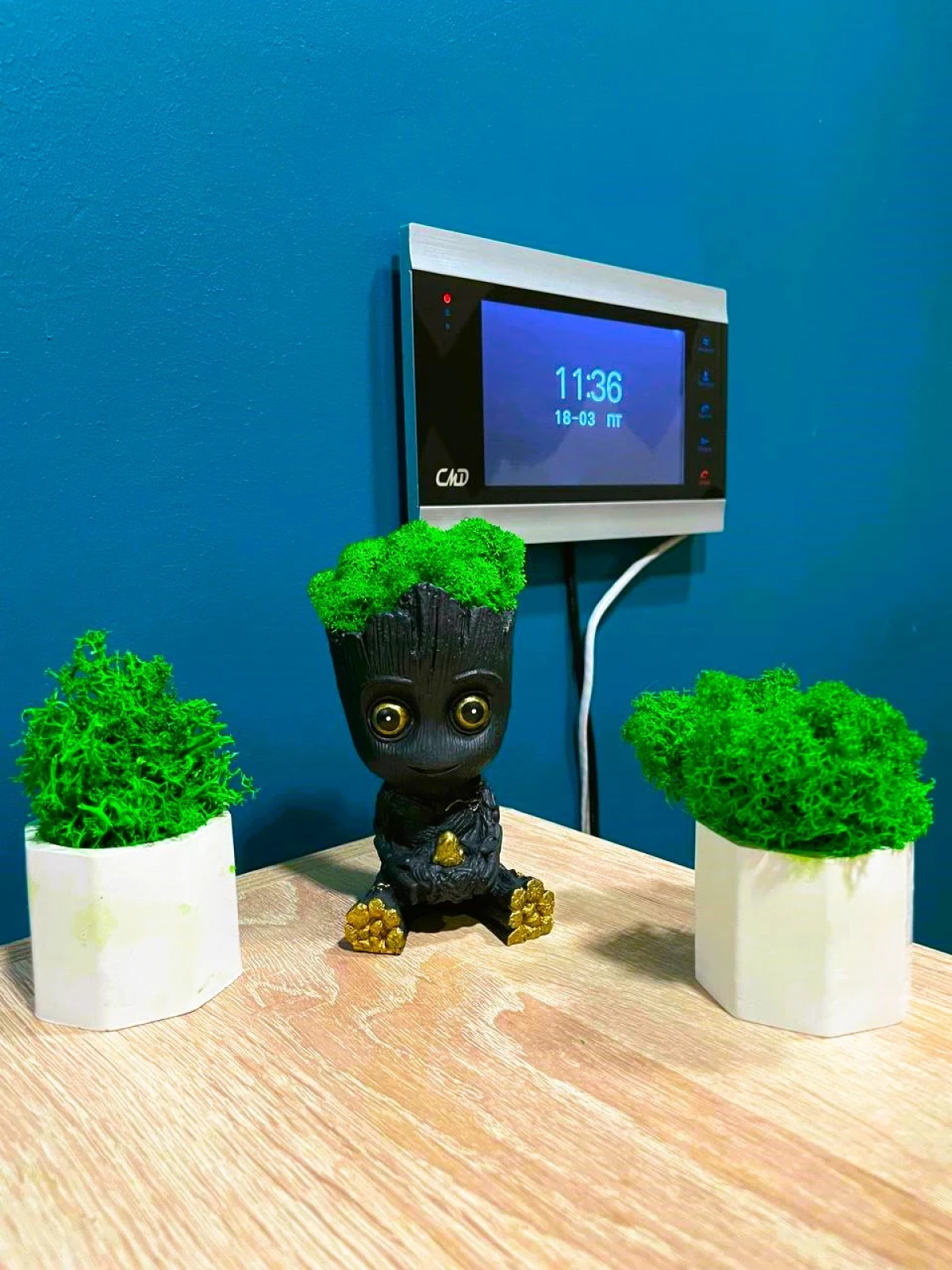 Хостел Moon Sky 24/7