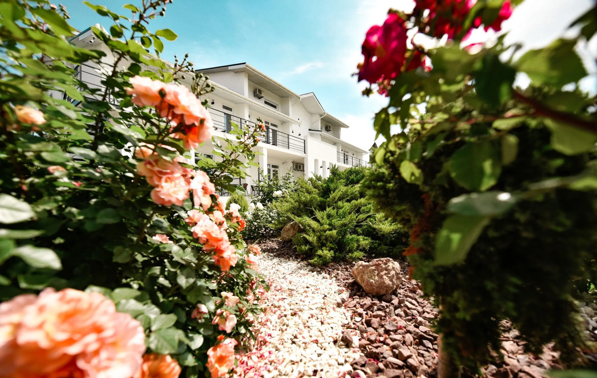 Отель Белая Ива