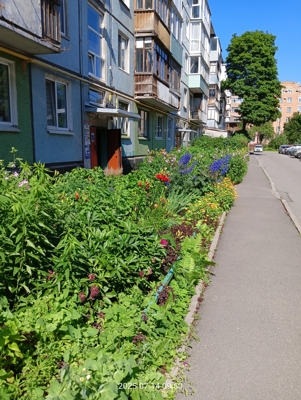 Апартаменты Ветошкина 37