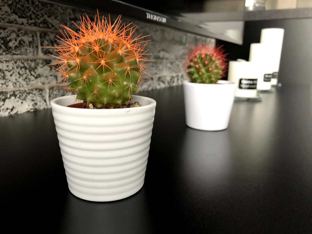 Апартаменты Panorama