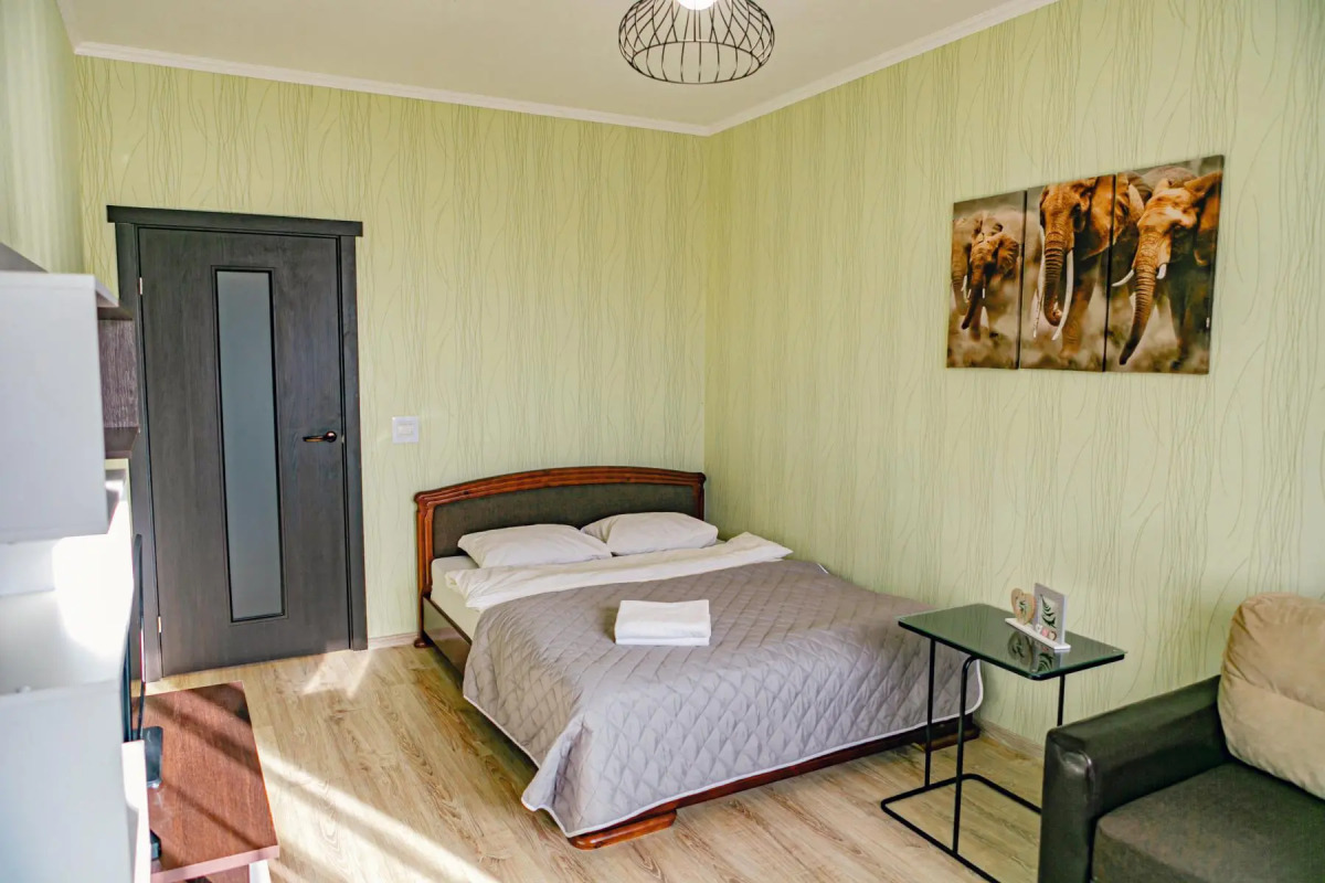 Апартаменты однокомнатные (97) Серебровская 91