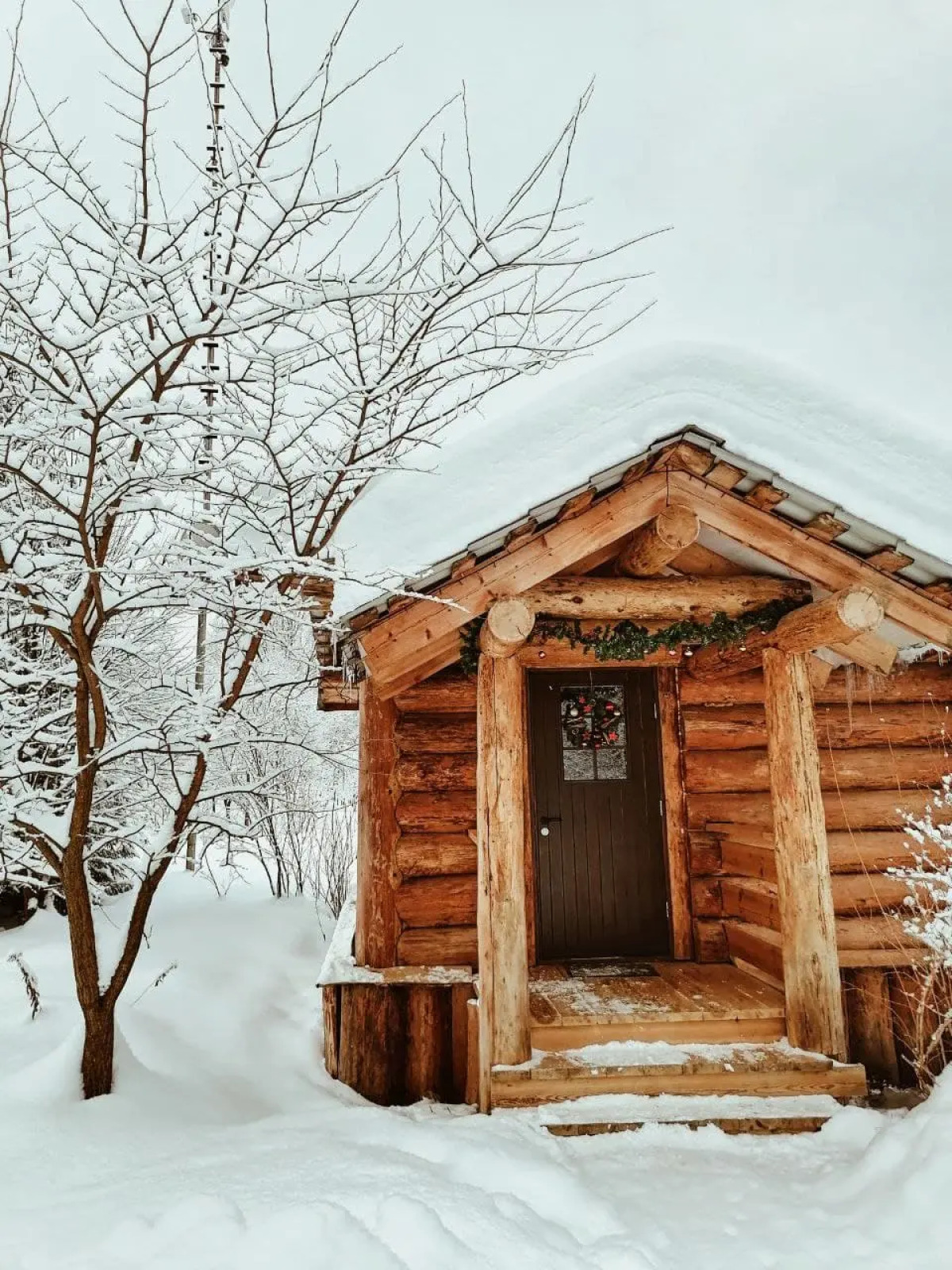 База отдыха Дубки