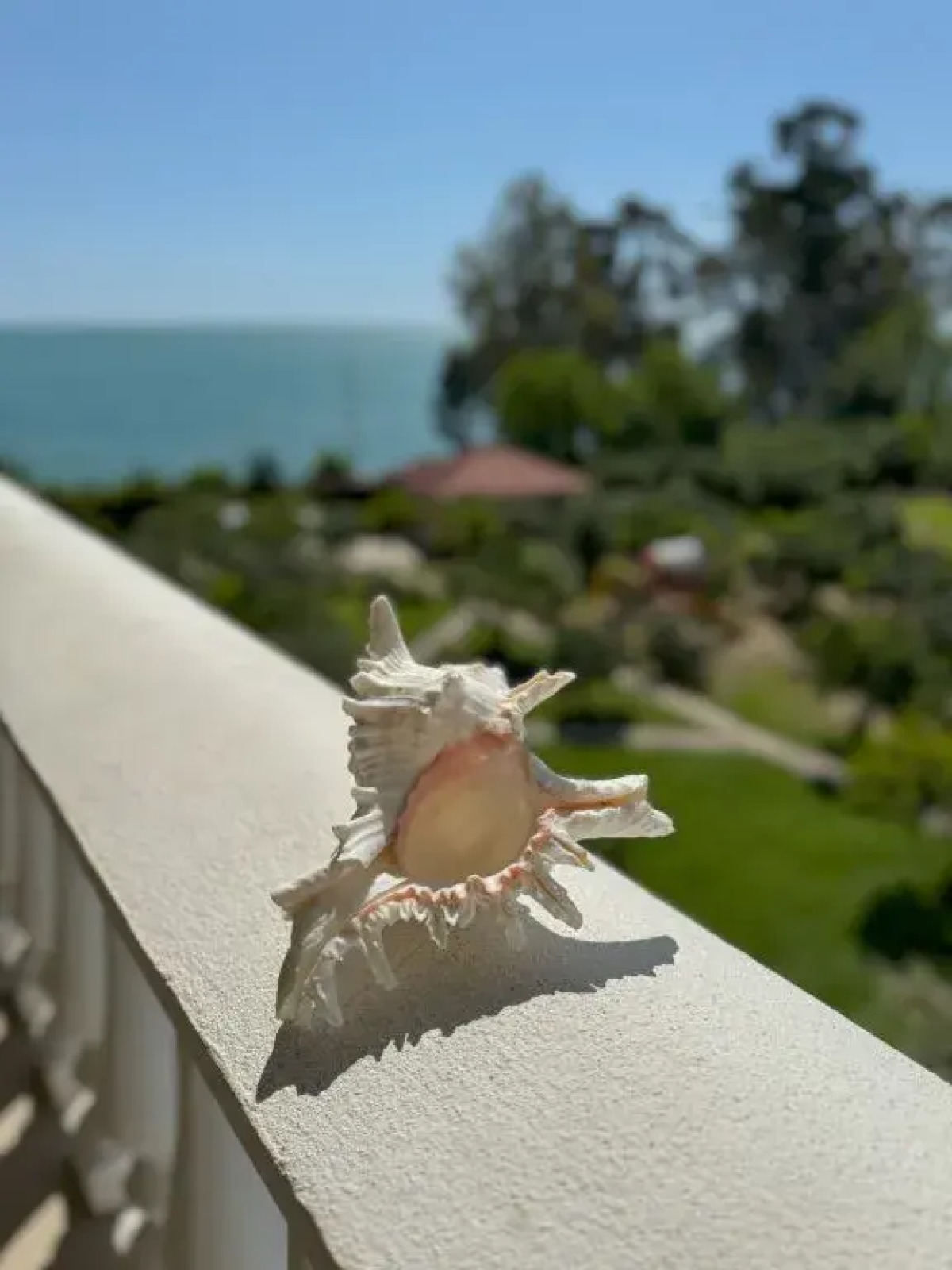 Мини-отель Мэри