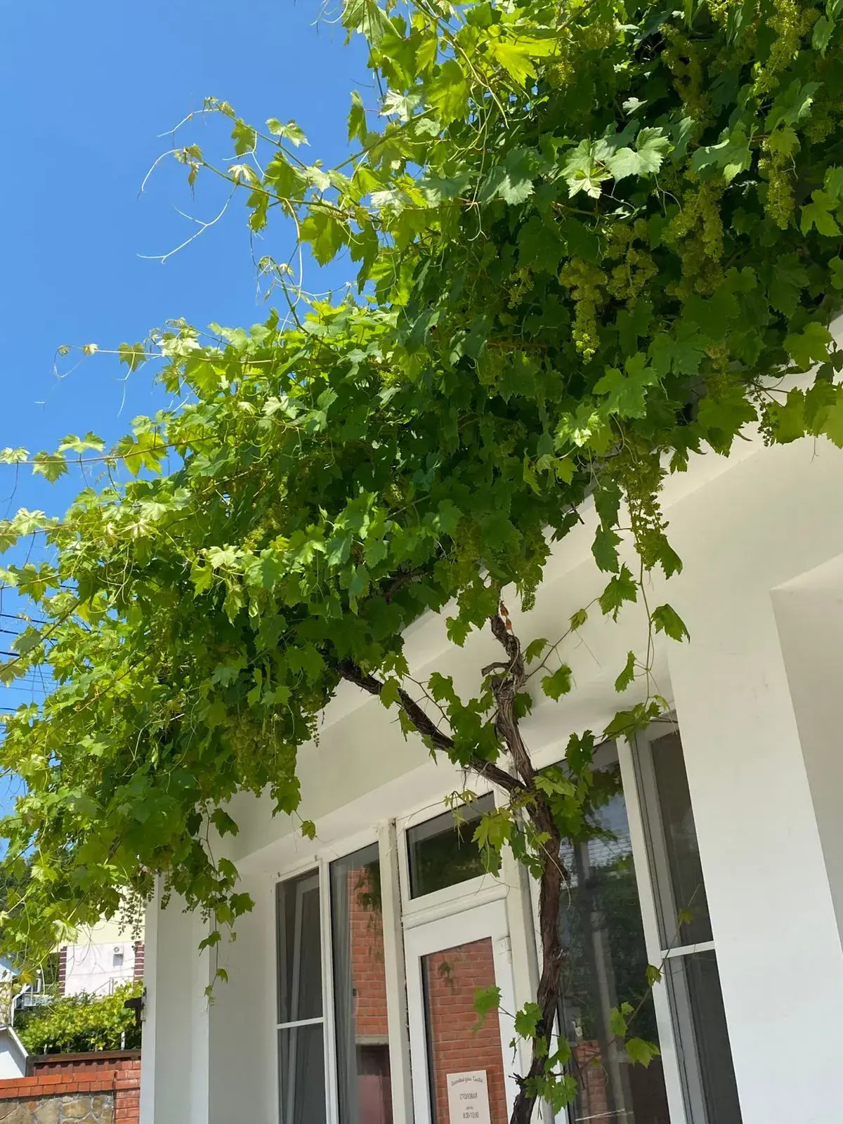 Гостевой дом Slava