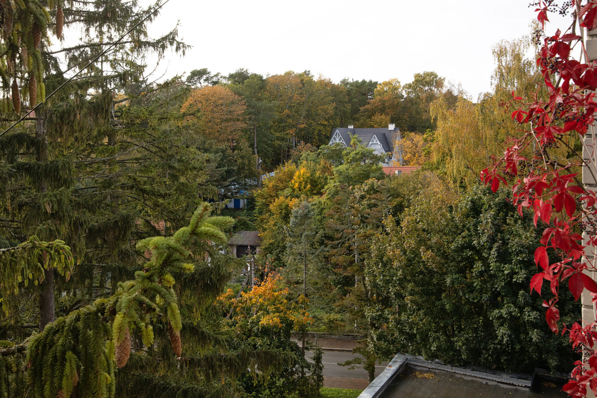 Апартаменты Sunrise by Pavlov