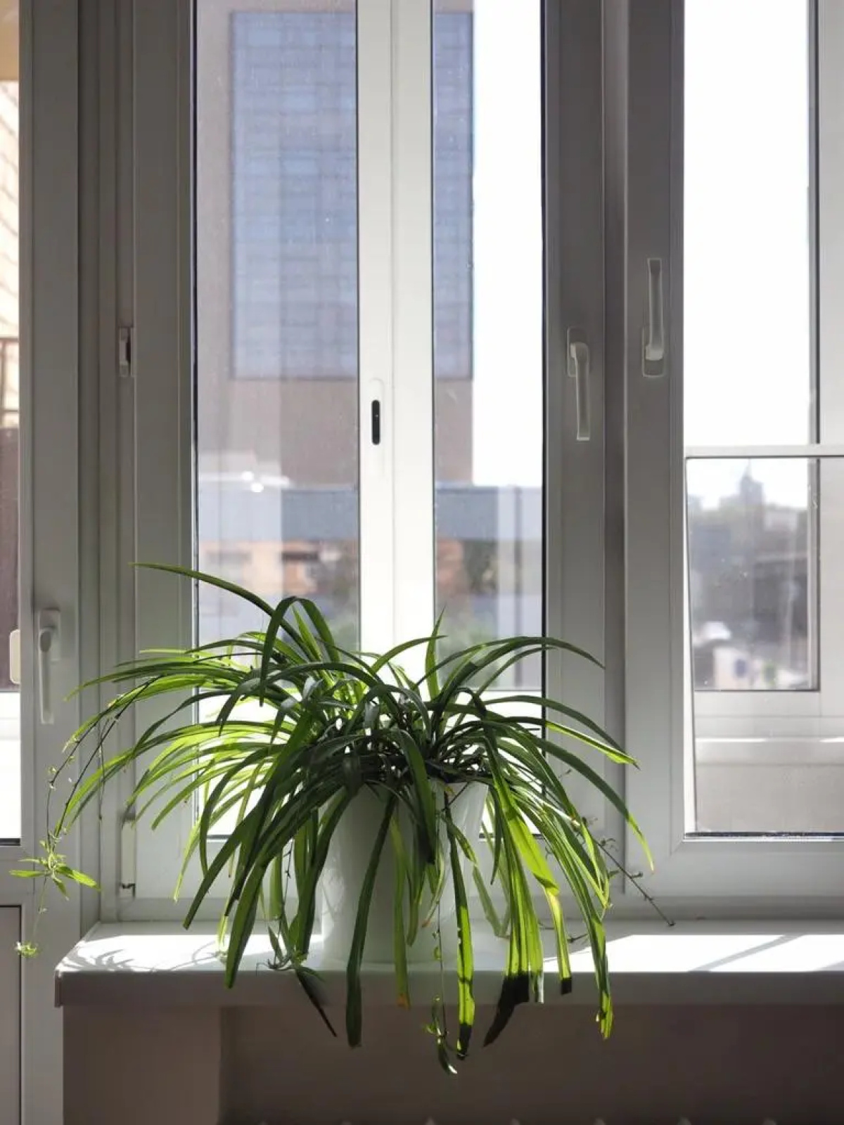 Квартира MaxRealty24 Волоколамское Шоссе 92