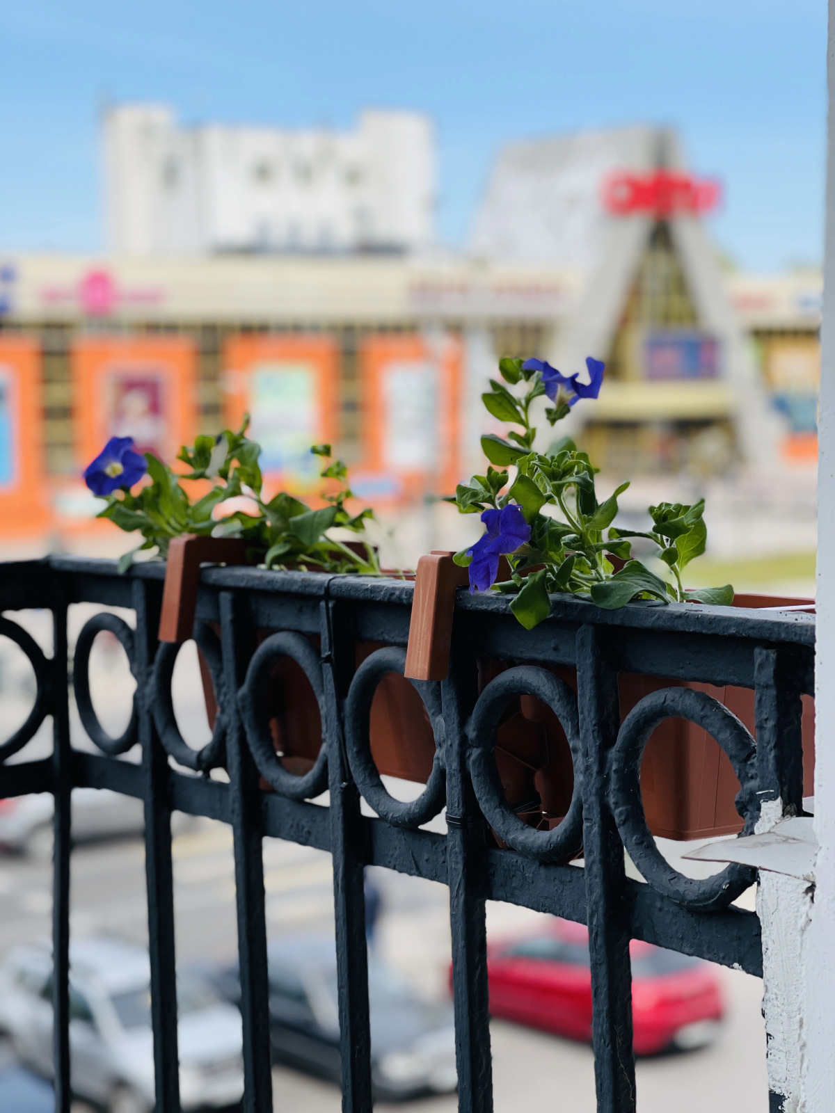 Квартира в Доме Культурного Наследия Трубящий Олень