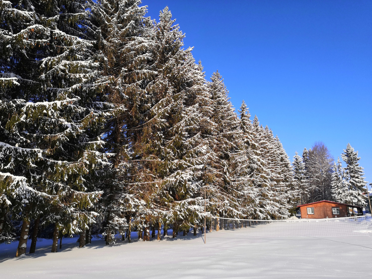 Горнолыжная Туристическая База Заборовье