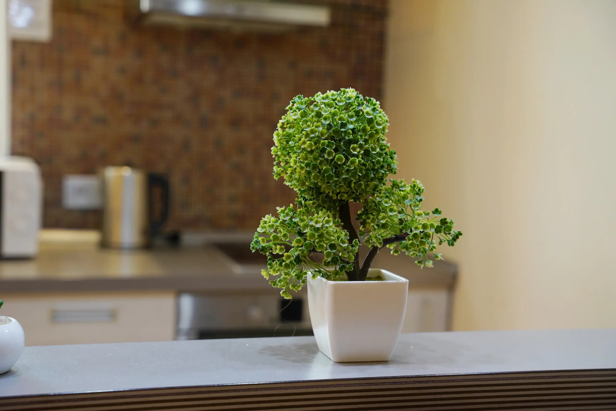 Апартаменты O.G.N.I. Светланская, д. 117