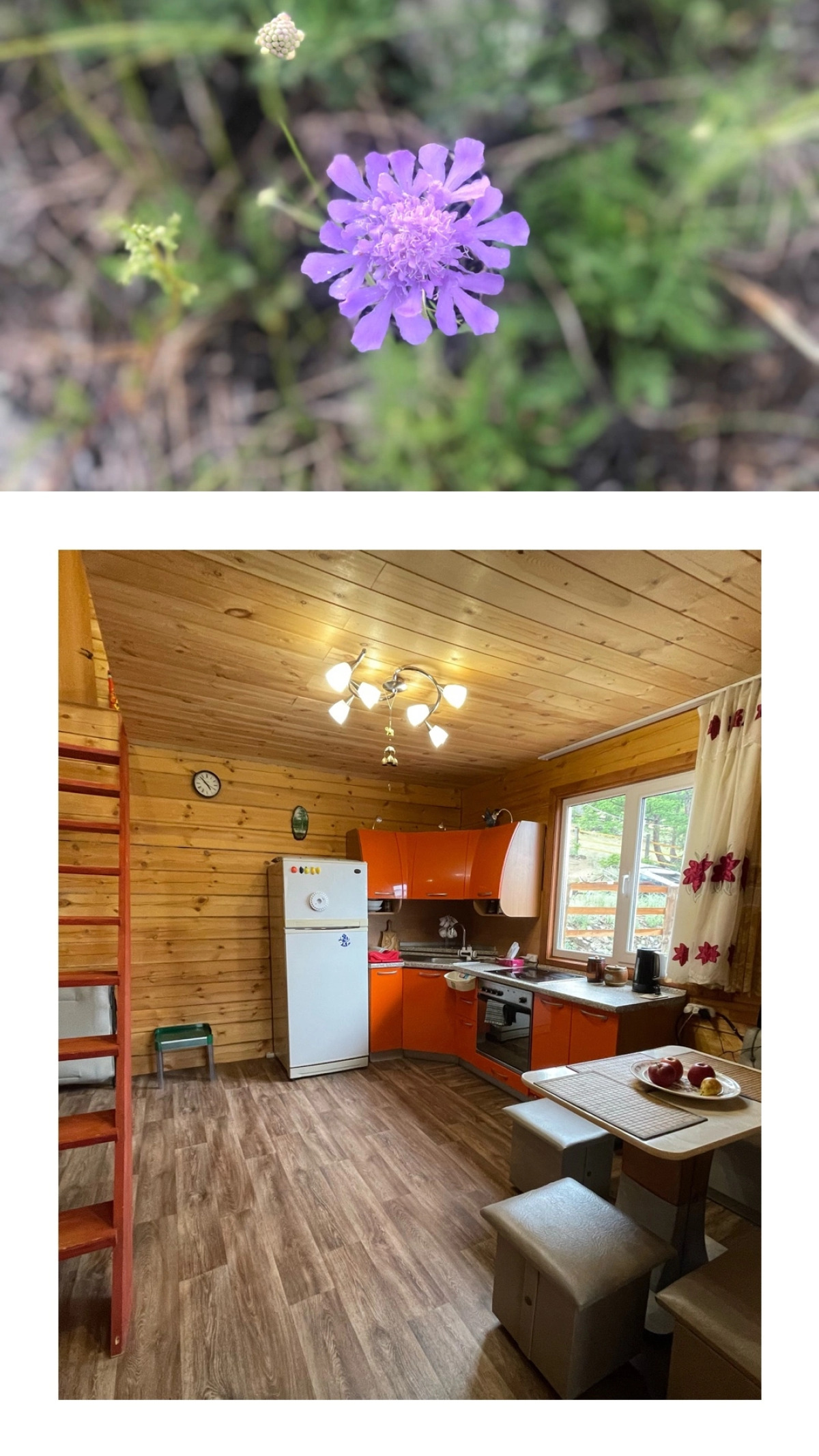 Шале Мандархан VIEW