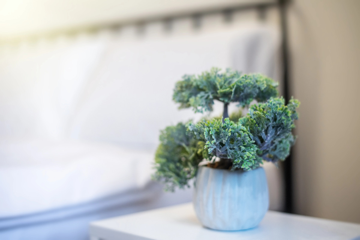 Апартаменты HB apartments University II