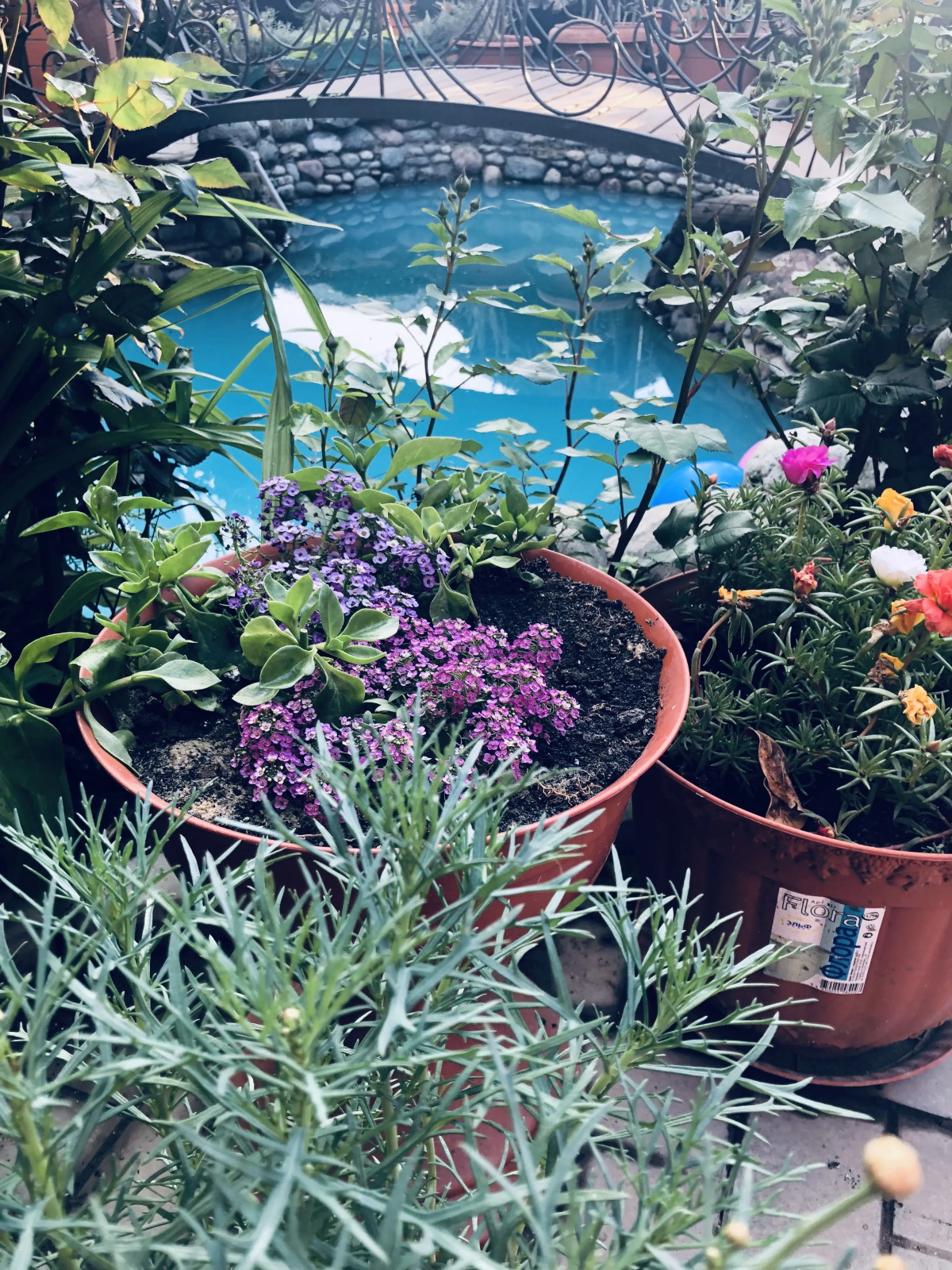 Гостевой дом Сказка инн