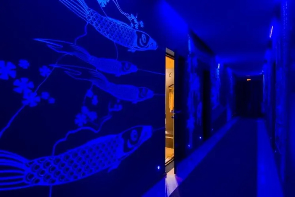 Отель Максимум