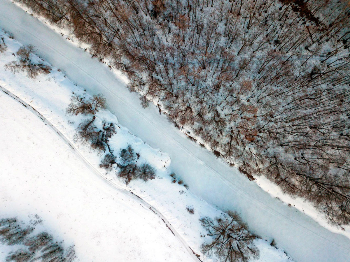 База отдыха Экопарк Бобровый Мыс