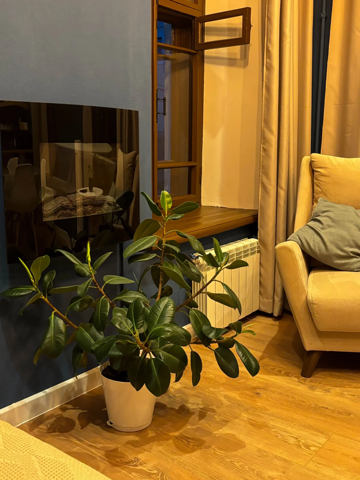 Квартира с отдельной спальней в центре Ярославля