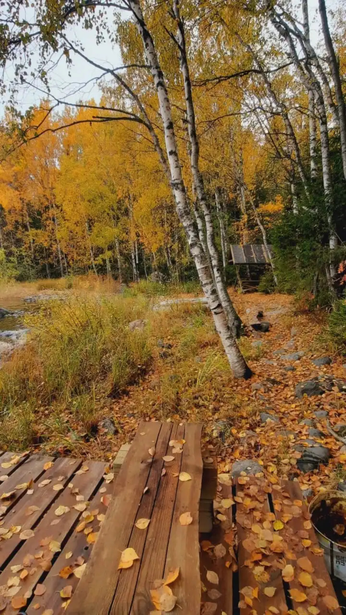 Гостевой дом с выходом в лес