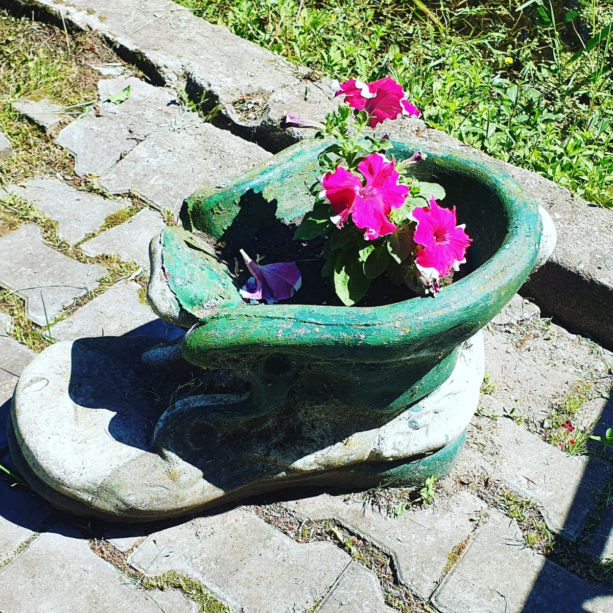 Гостевой дом Агроусадьба у Сан Саныча