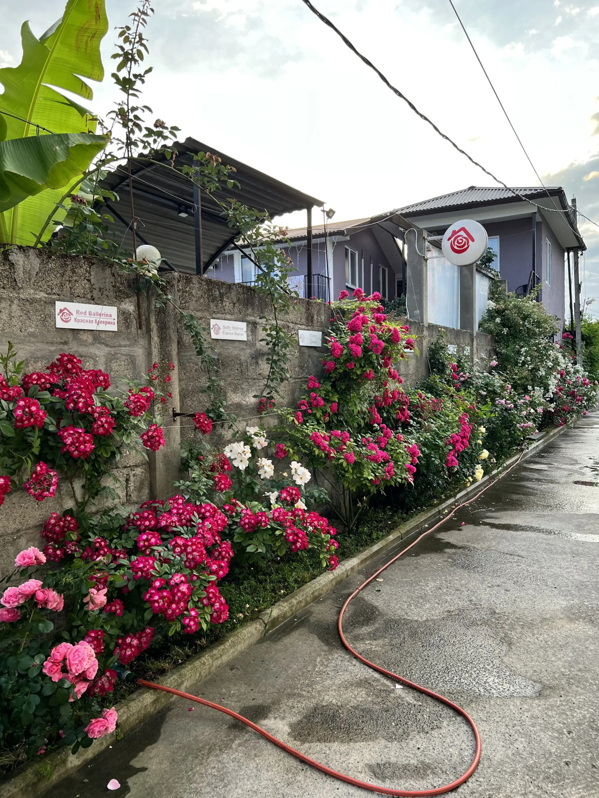 Гостевой дом Роза