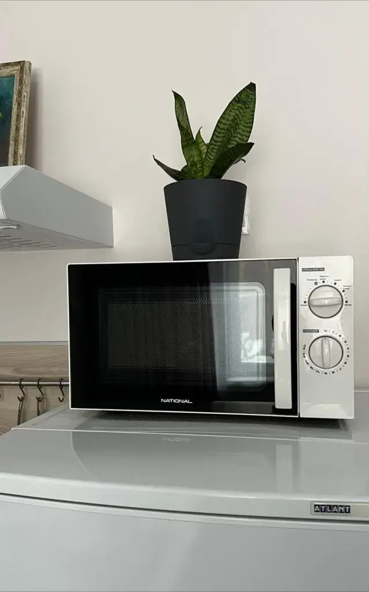 Квартира с окнами на лес