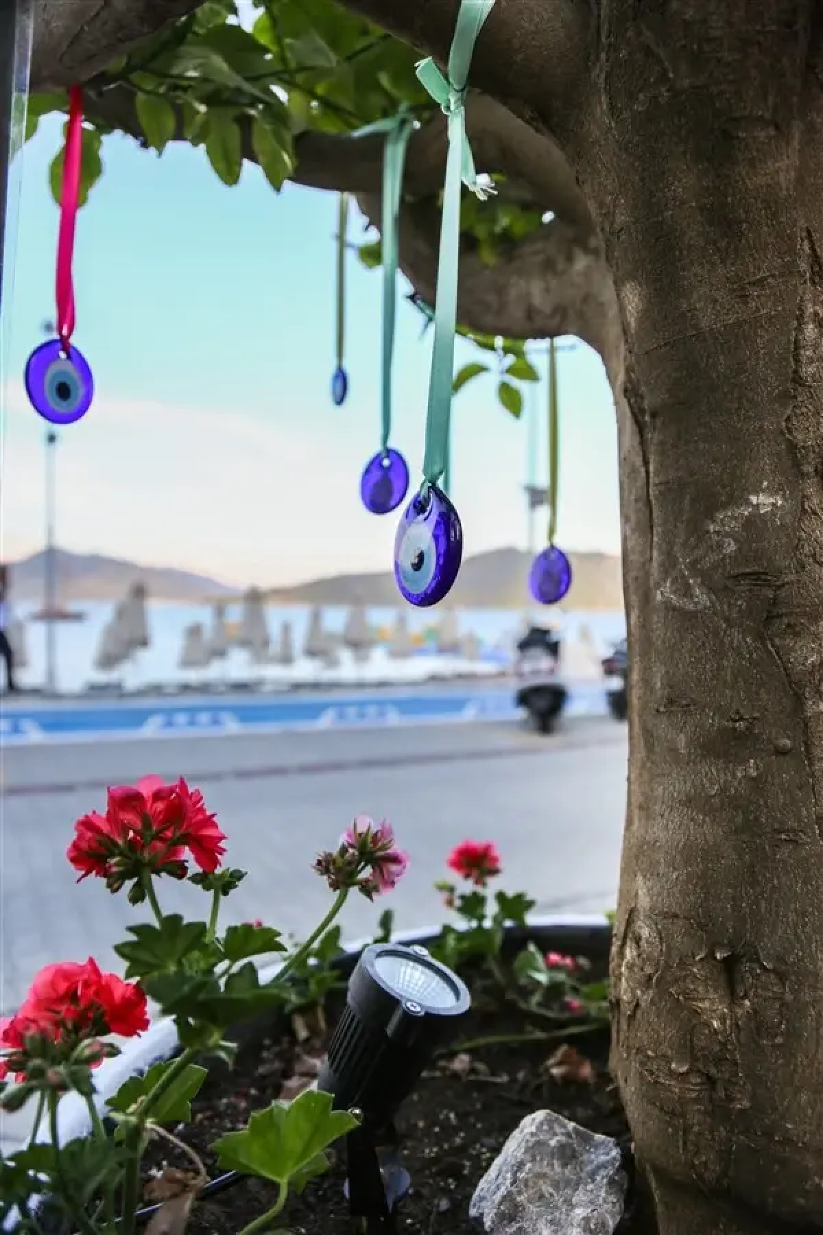 Отель B&B Yüzbaşı