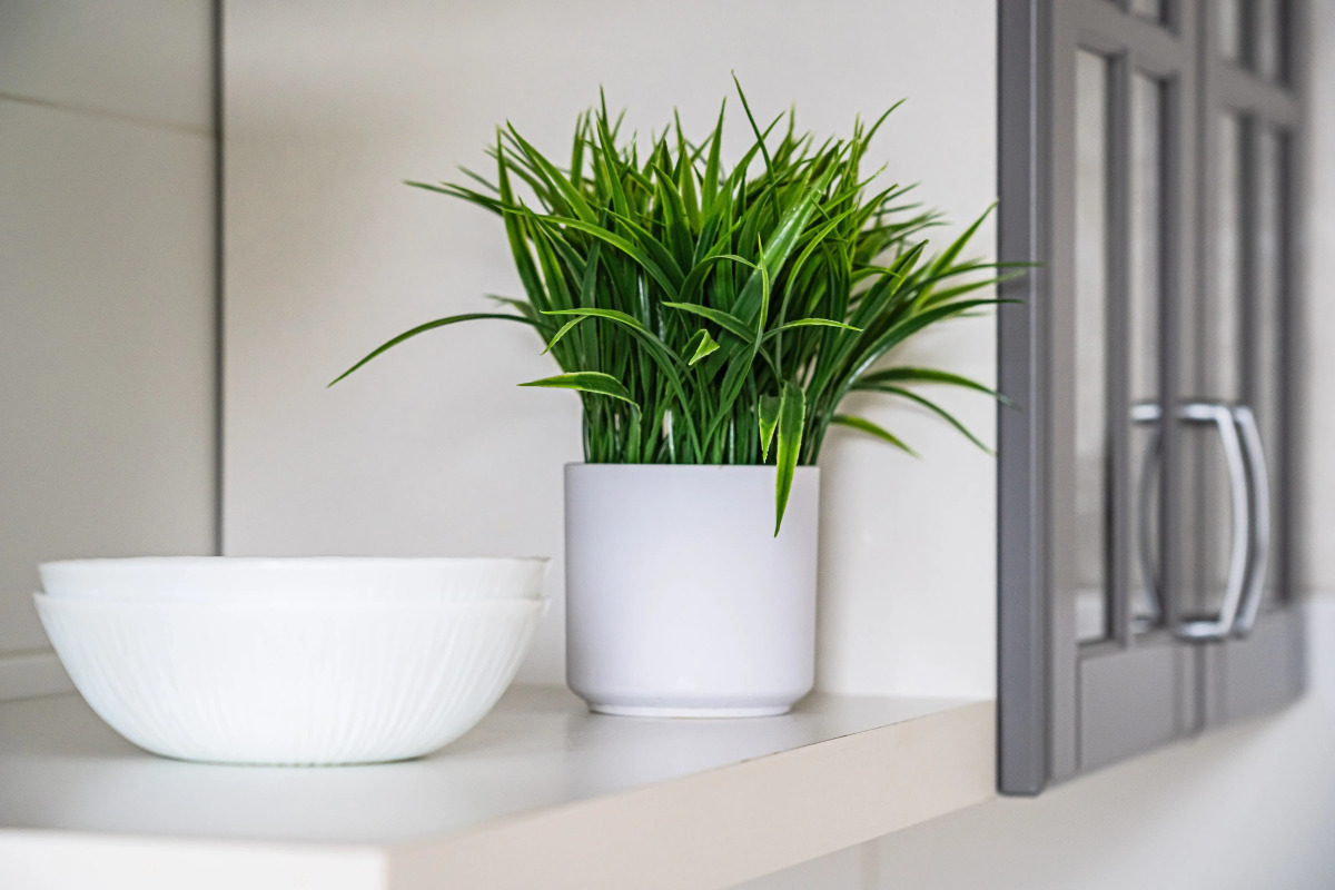 Апартаменты Amber Holiday