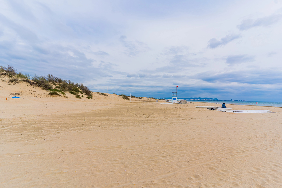 Апартаменты на Пионерском 259 K