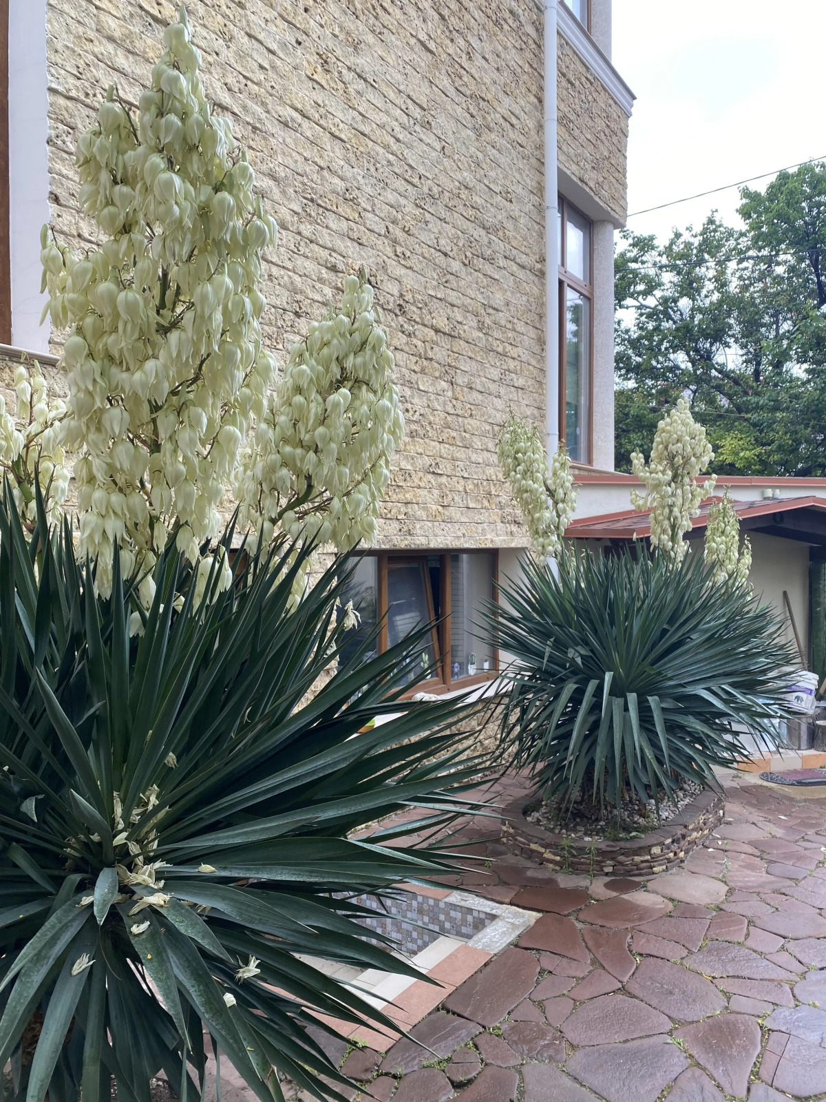 Отель Рахиль