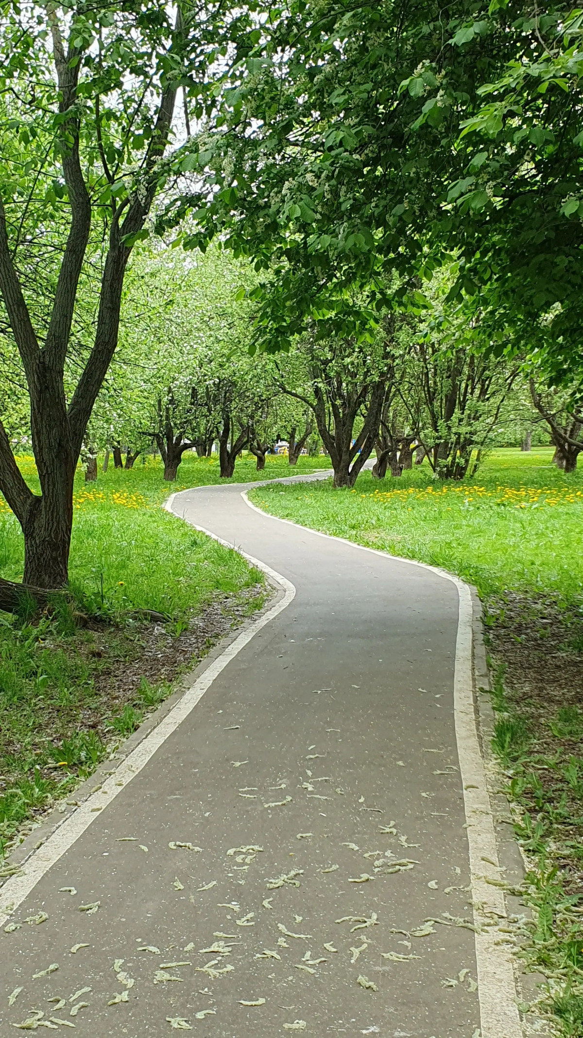 Квартира в новом ЖК рядом с Вересаева Уютный Дом