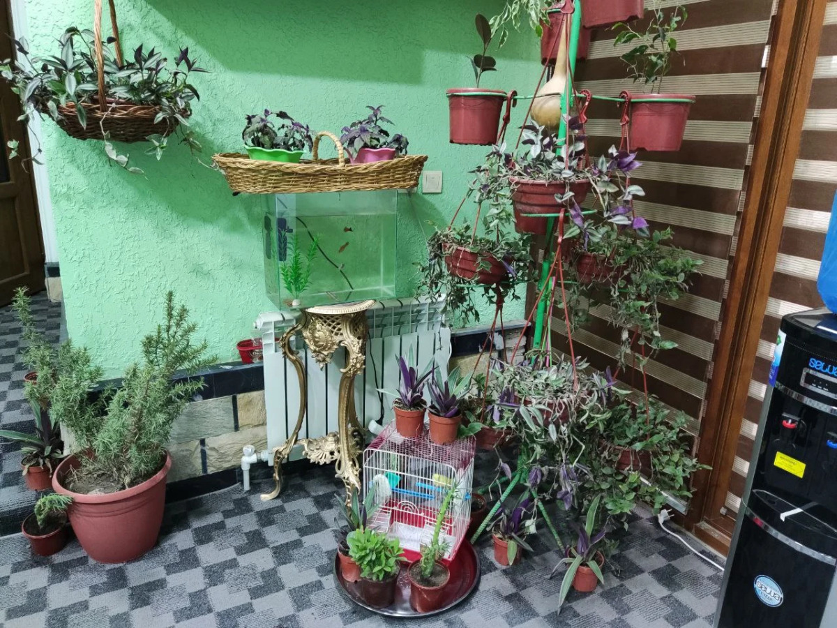 Отель Green House