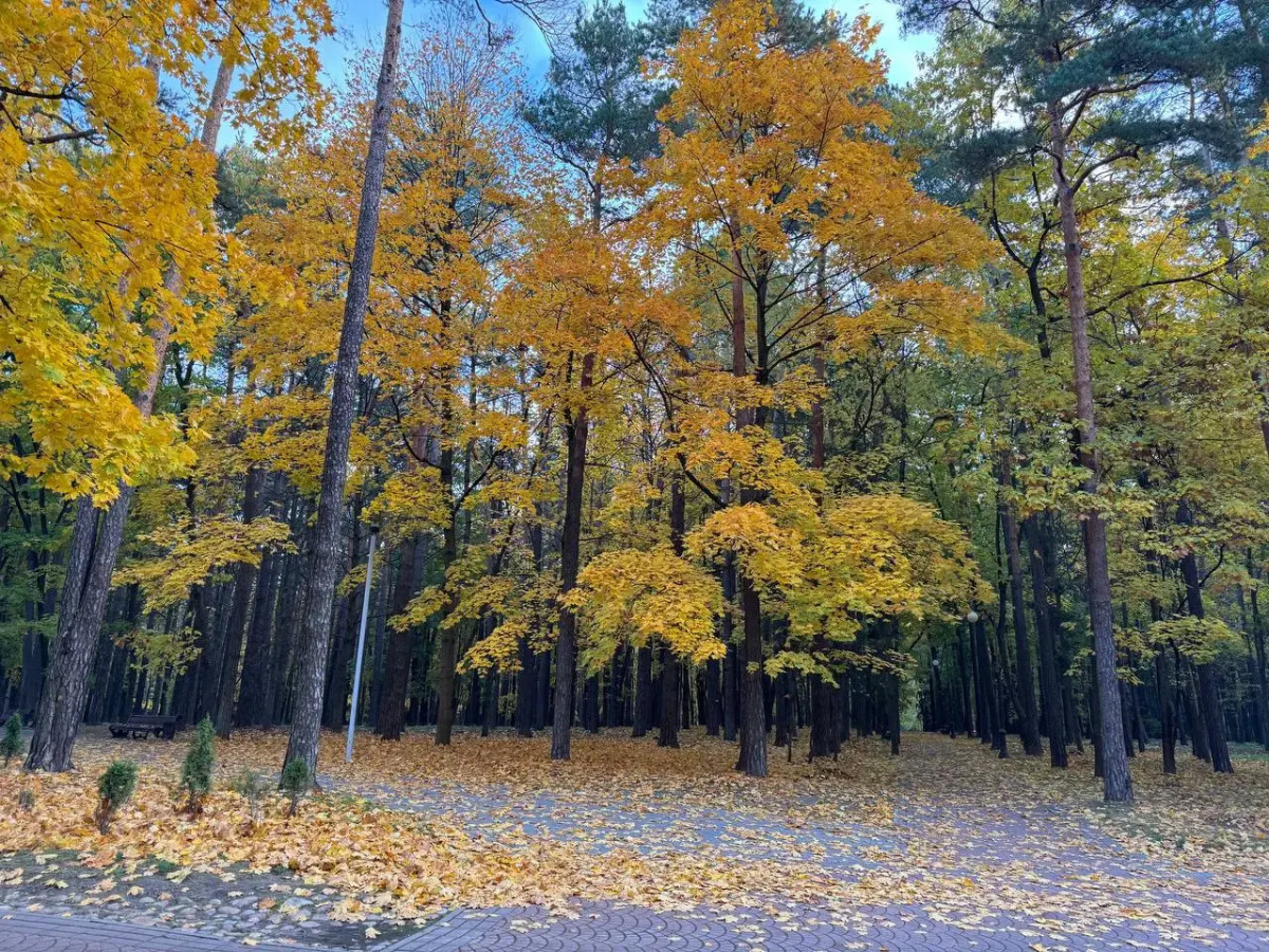 Апартаменты в ЖК Парк Челюскинцев