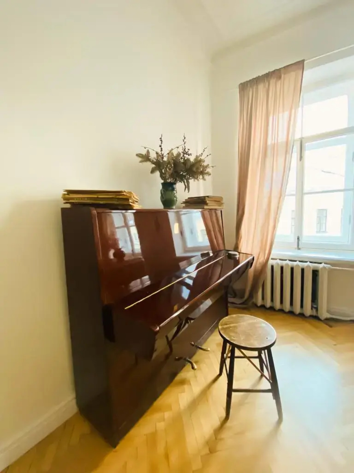 Апартаменты Классическая петербургская квартира в духе ХХ века