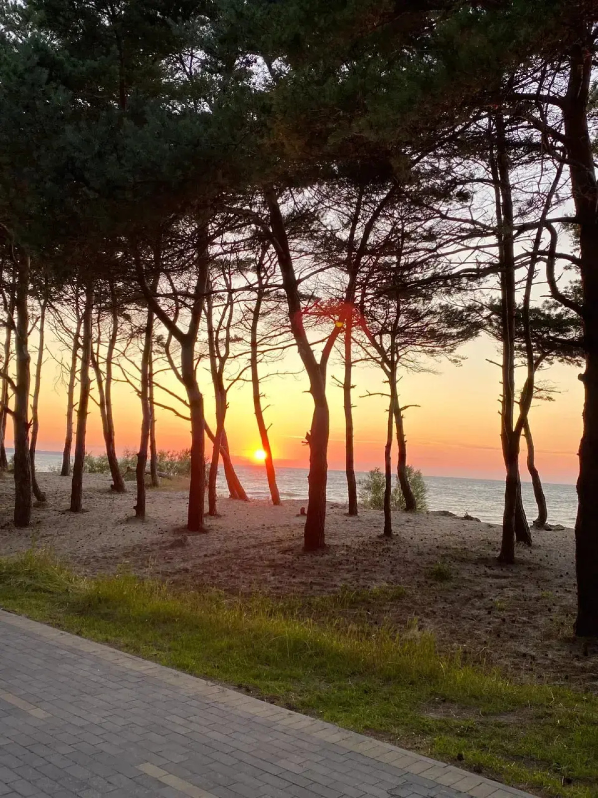 Кемпинг гостевые дома