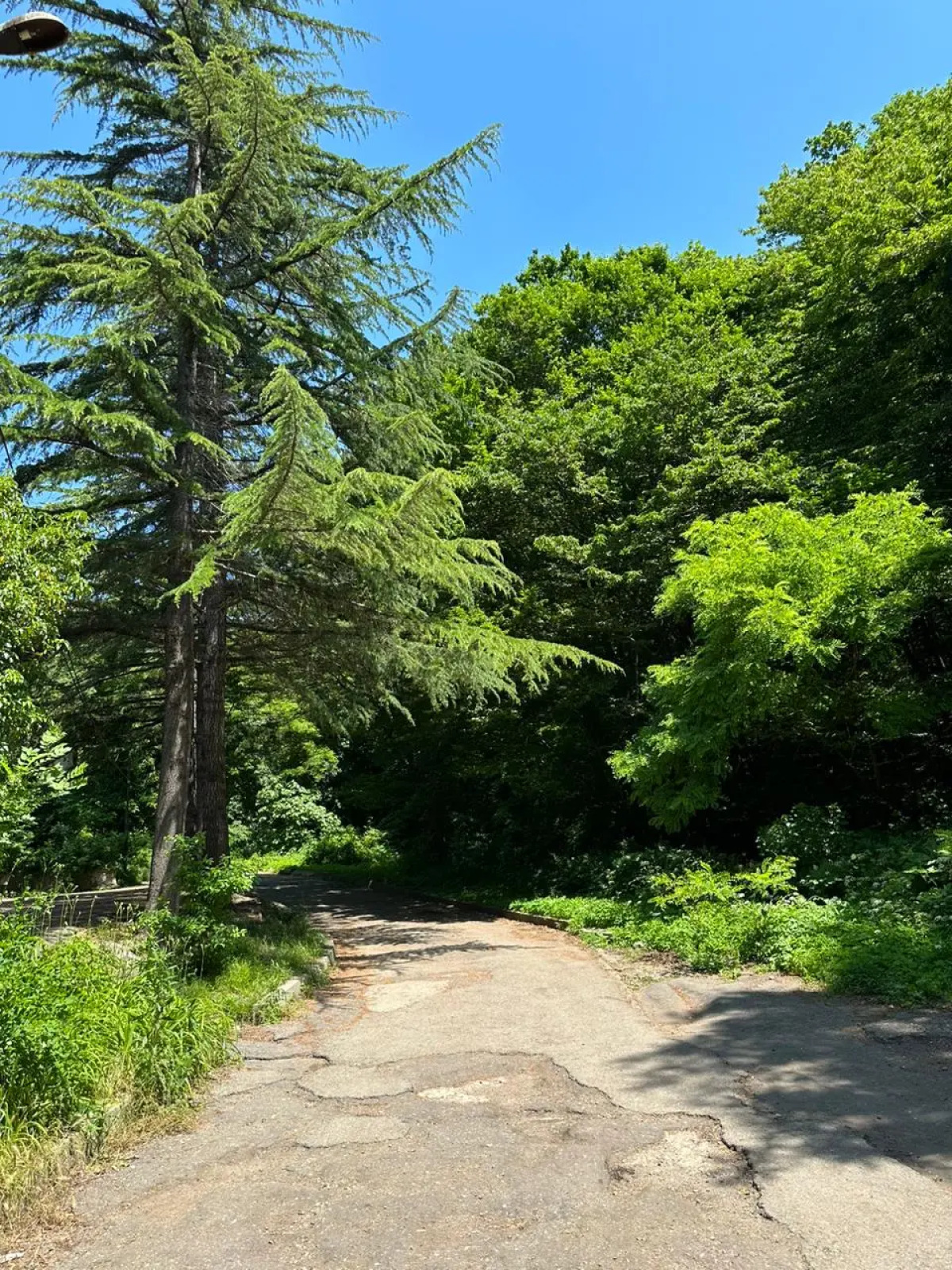 Гостевой дом Пальма Туапсе