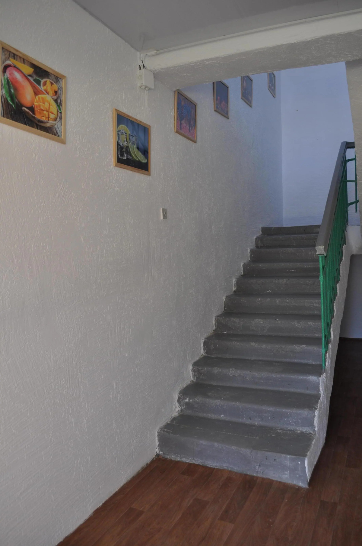 Отель Чайка