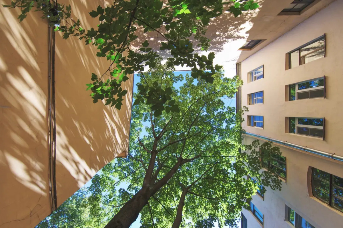 Апартаменты Griboedov 1