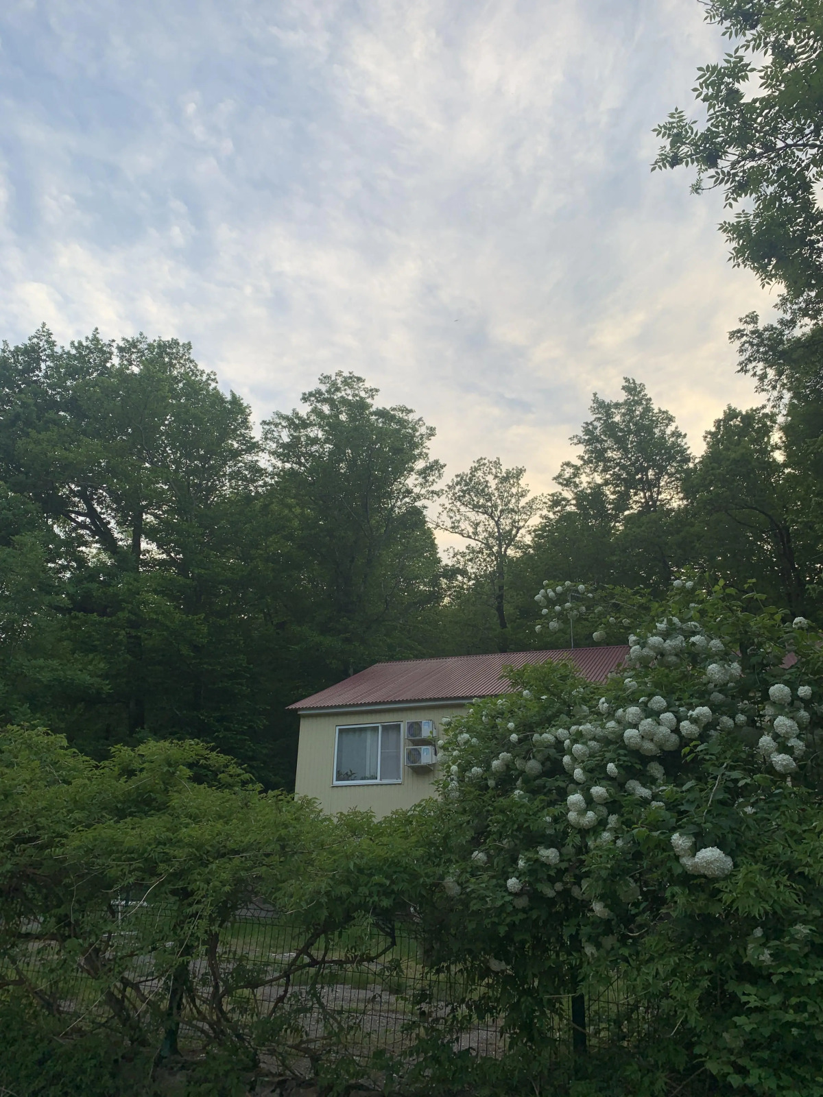 База отдыха Гостиничный комплекс Примула