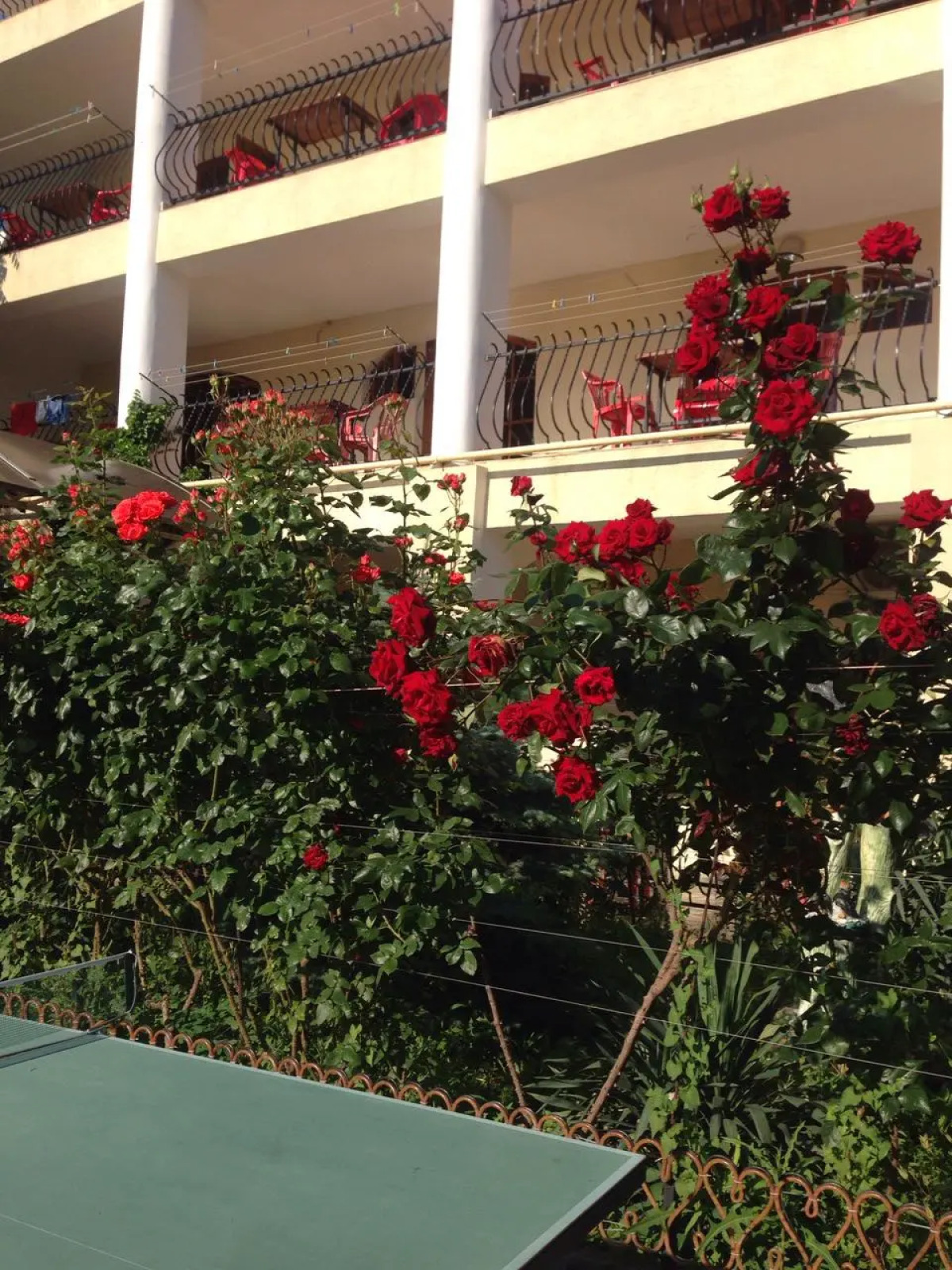 Гостевой Дом Аурелия