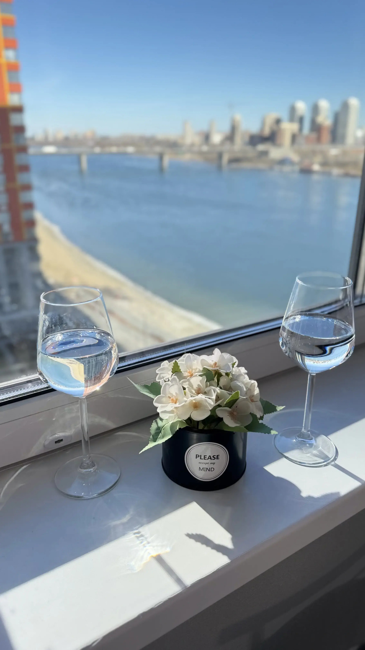 Квартира с видом на реку