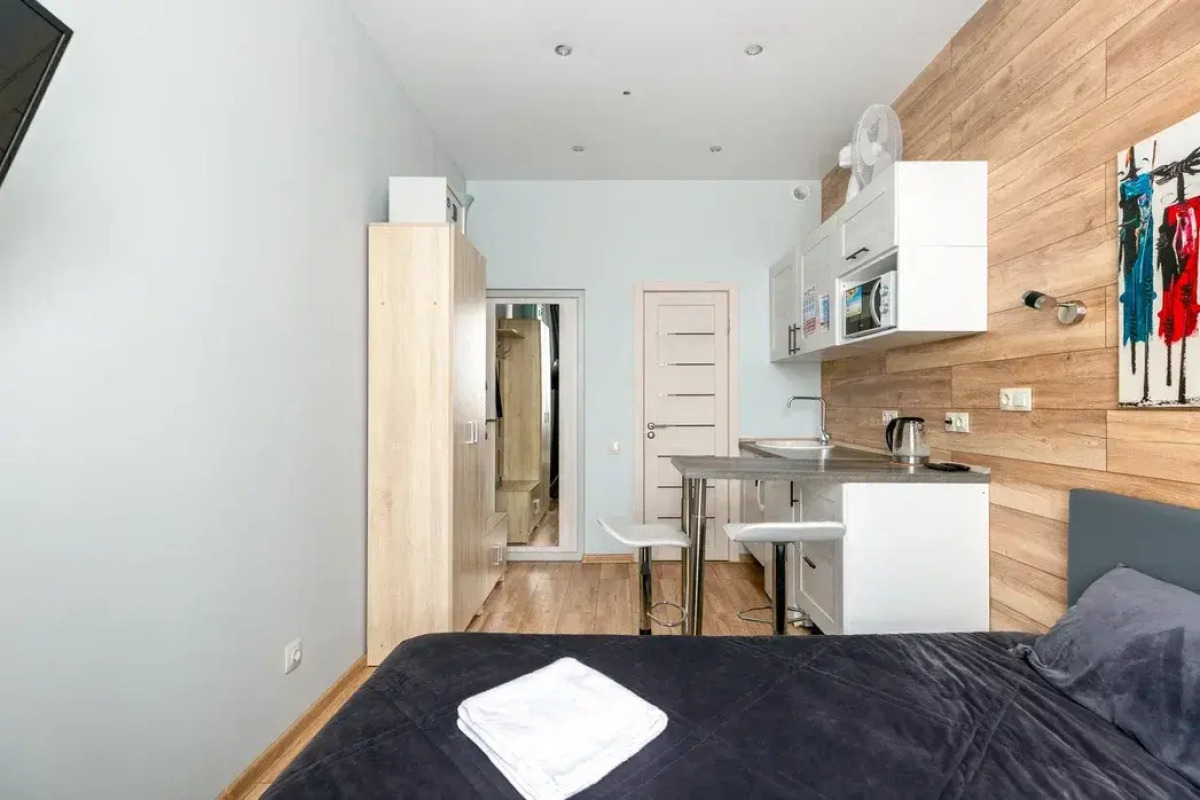 Апартаменты Букинист 233/1