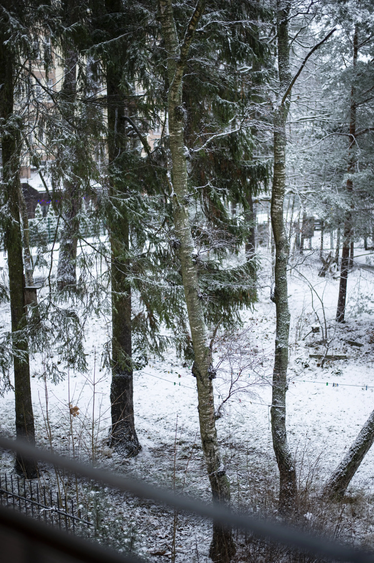 Апартаменты Светогор