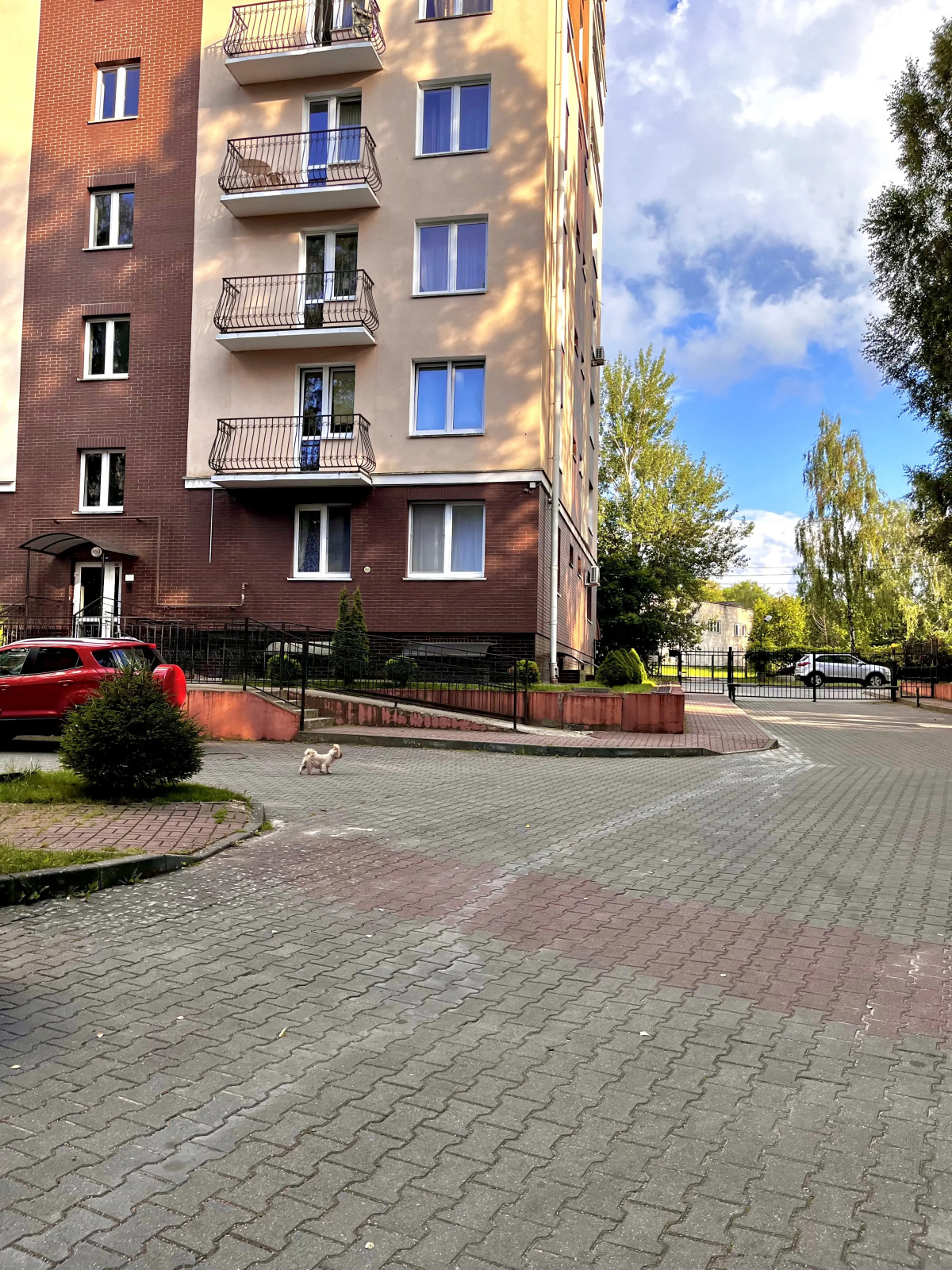 Квартира Уютная Рядом с Морем Светлогорск
