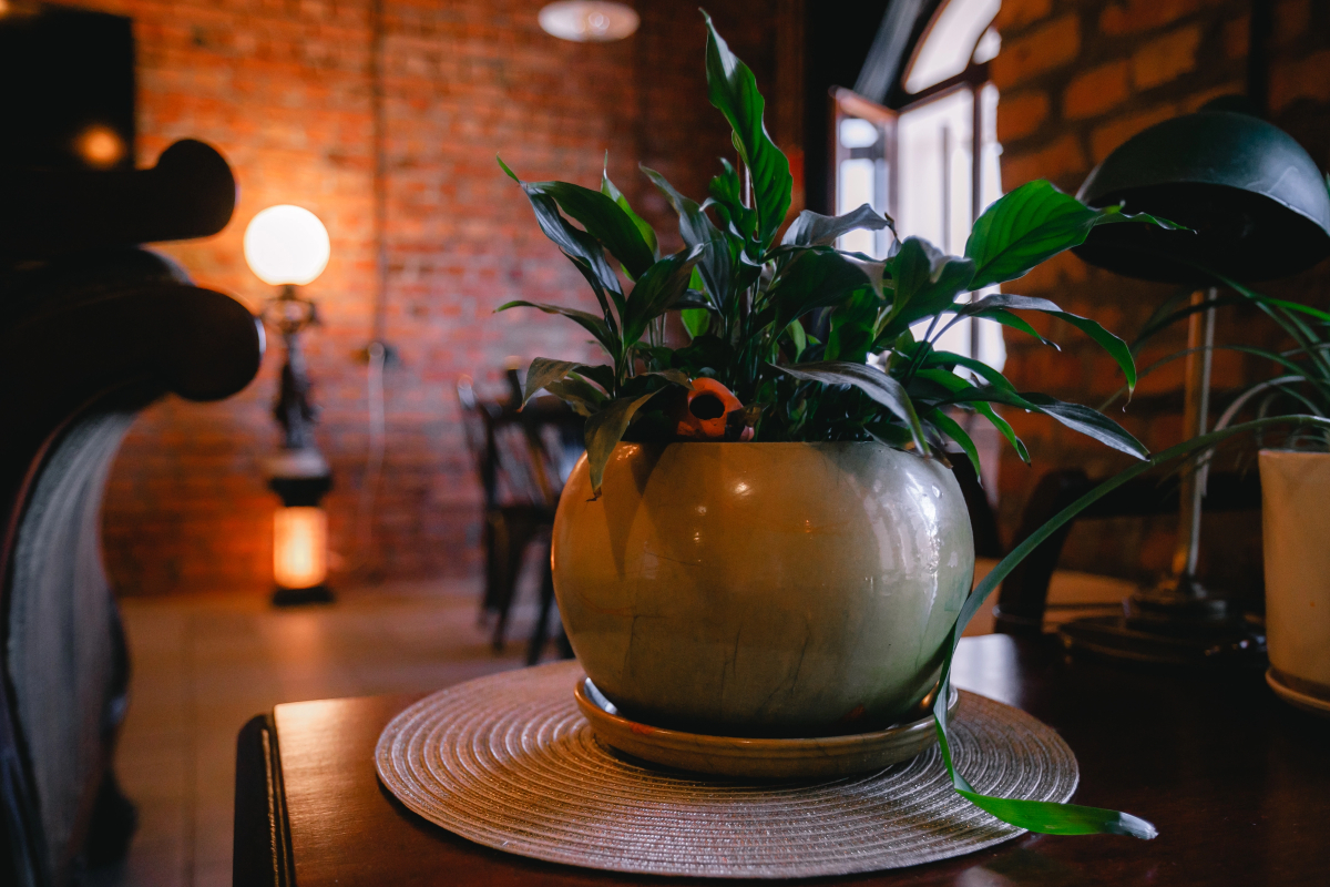 Хостел YAGEL LOFT