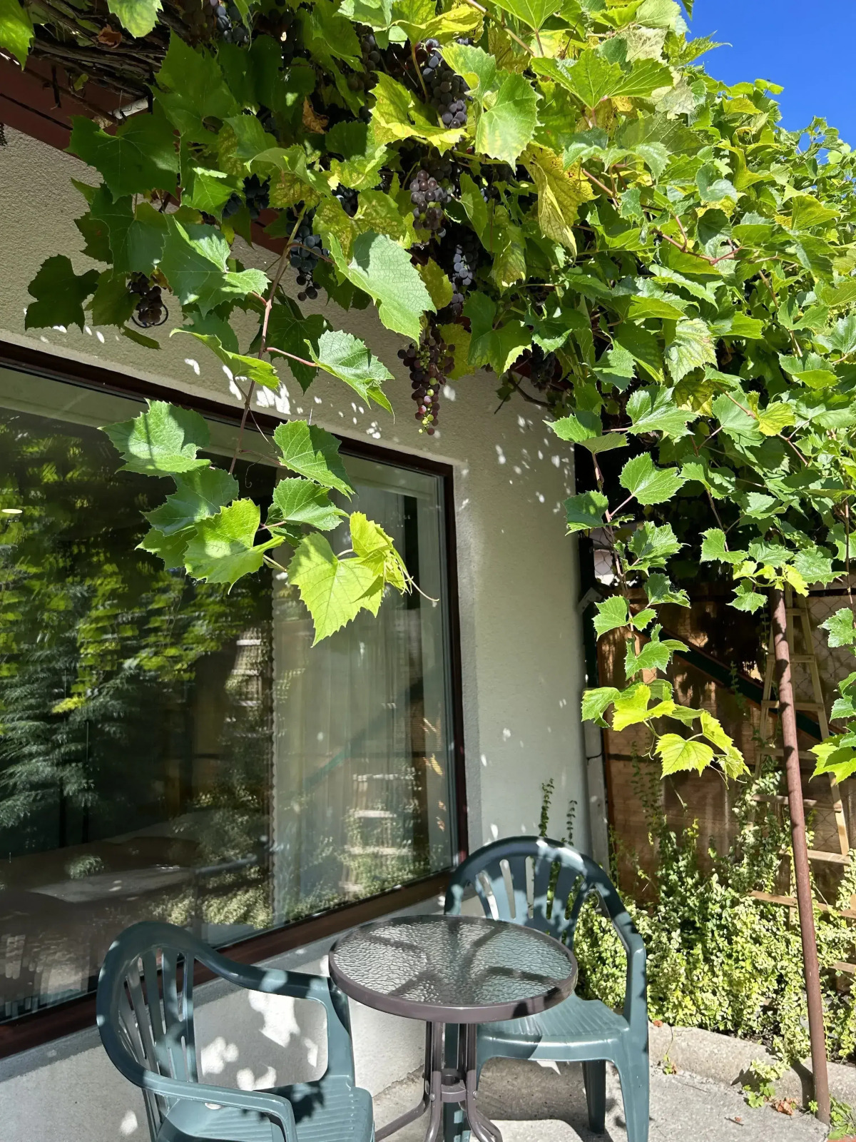 Апартаменты У Рыбного двора